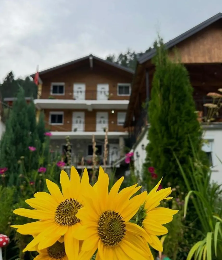 Bujtina Brahim Selimaj Bed & Breakfast Valbone