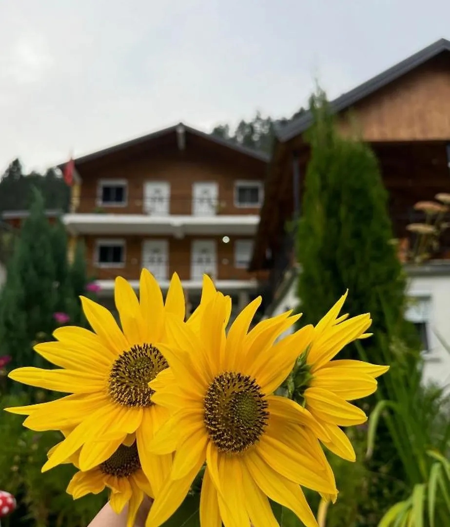 Bujtina Brahim Selimaj Bed & Breakfast Valbone