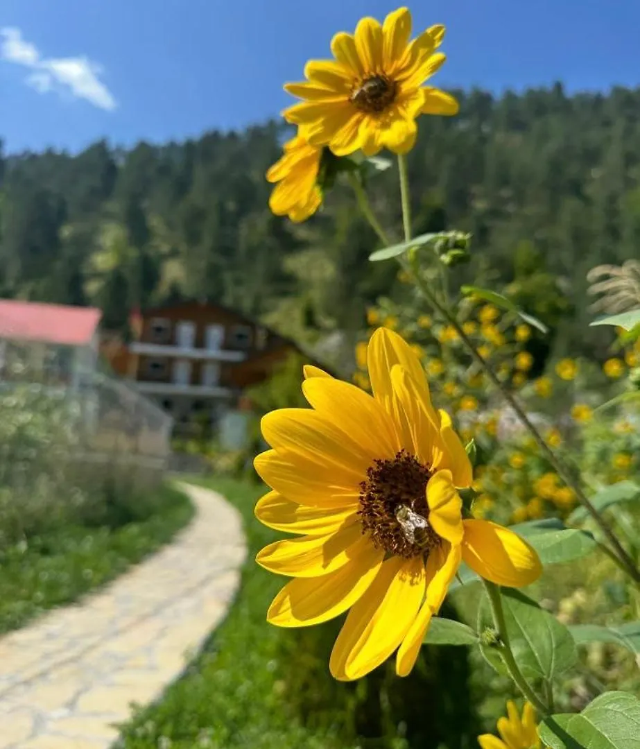 Bujtina Brahim Selimaj Bed & Breakfast Valbone